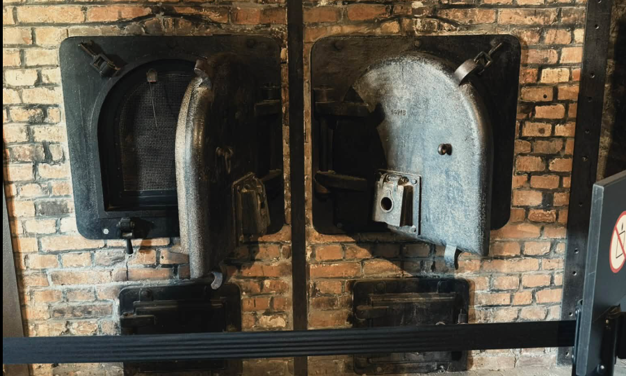 Fui a Auschwitz: la banalidad del mal, en persona