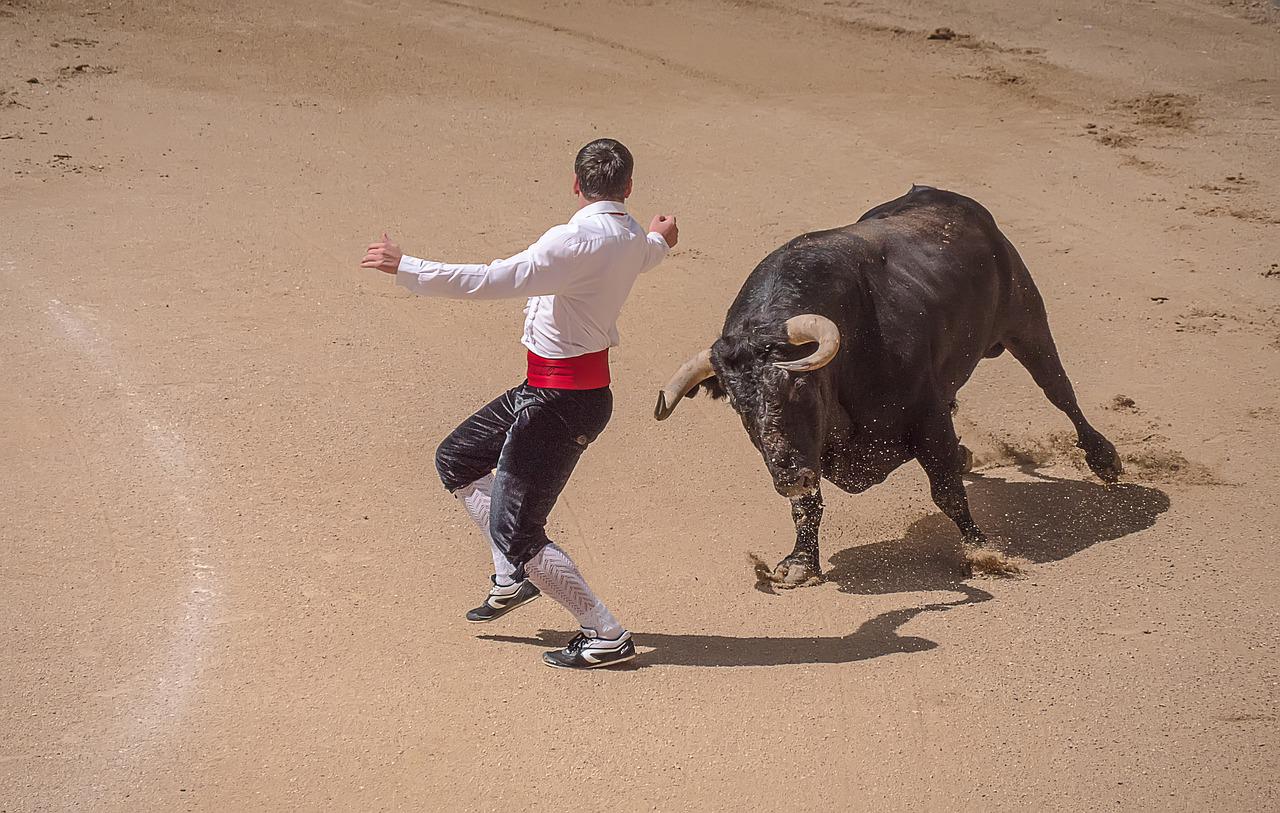 Contra la tauromaquia